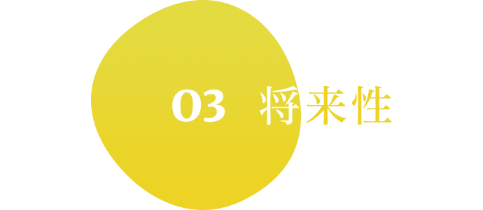 03 将来性